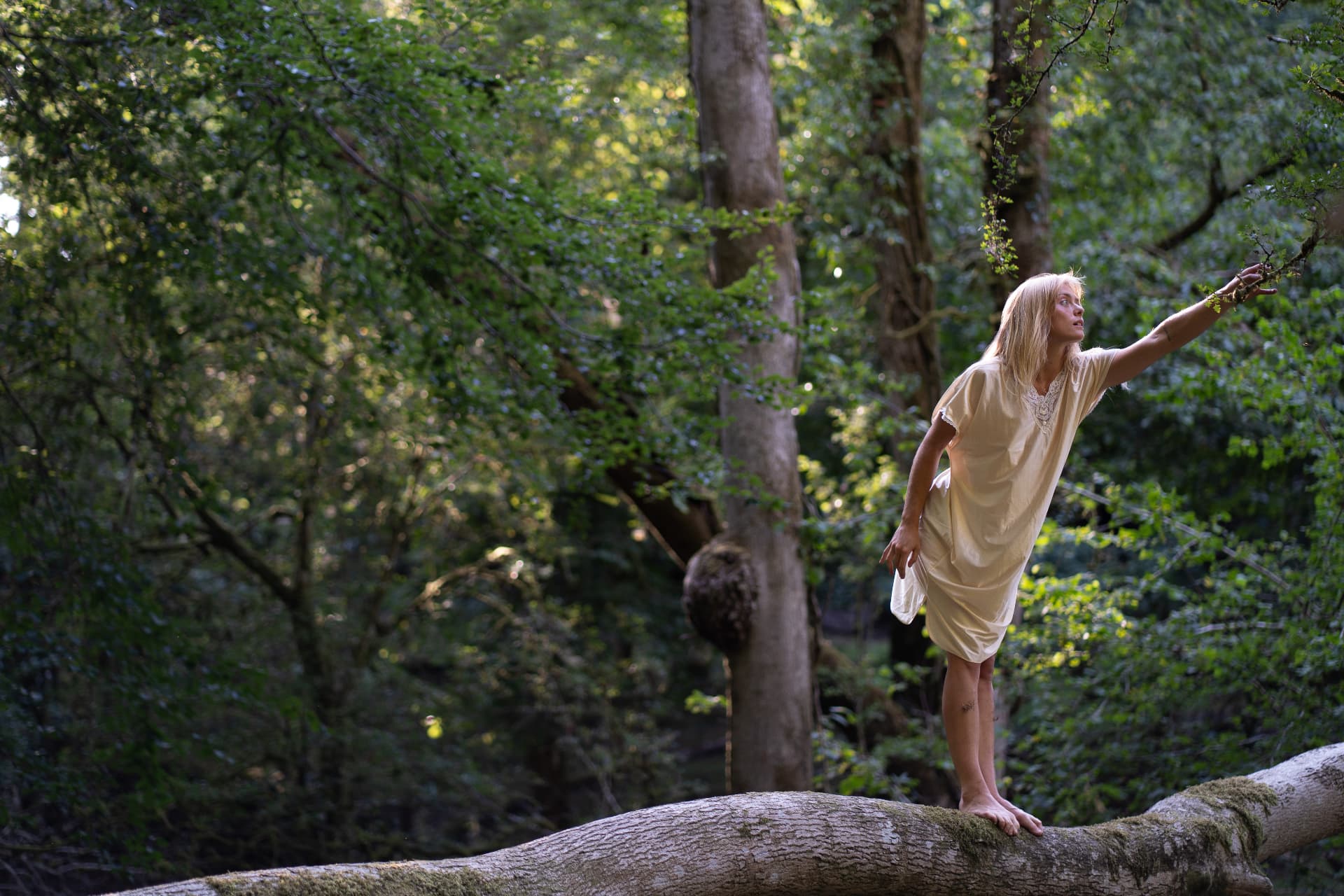 Woman in a cream dress balancing on a fallen tree in a sunlit woodland